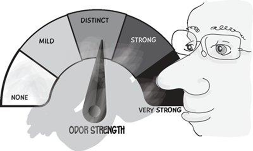 640 (7).png